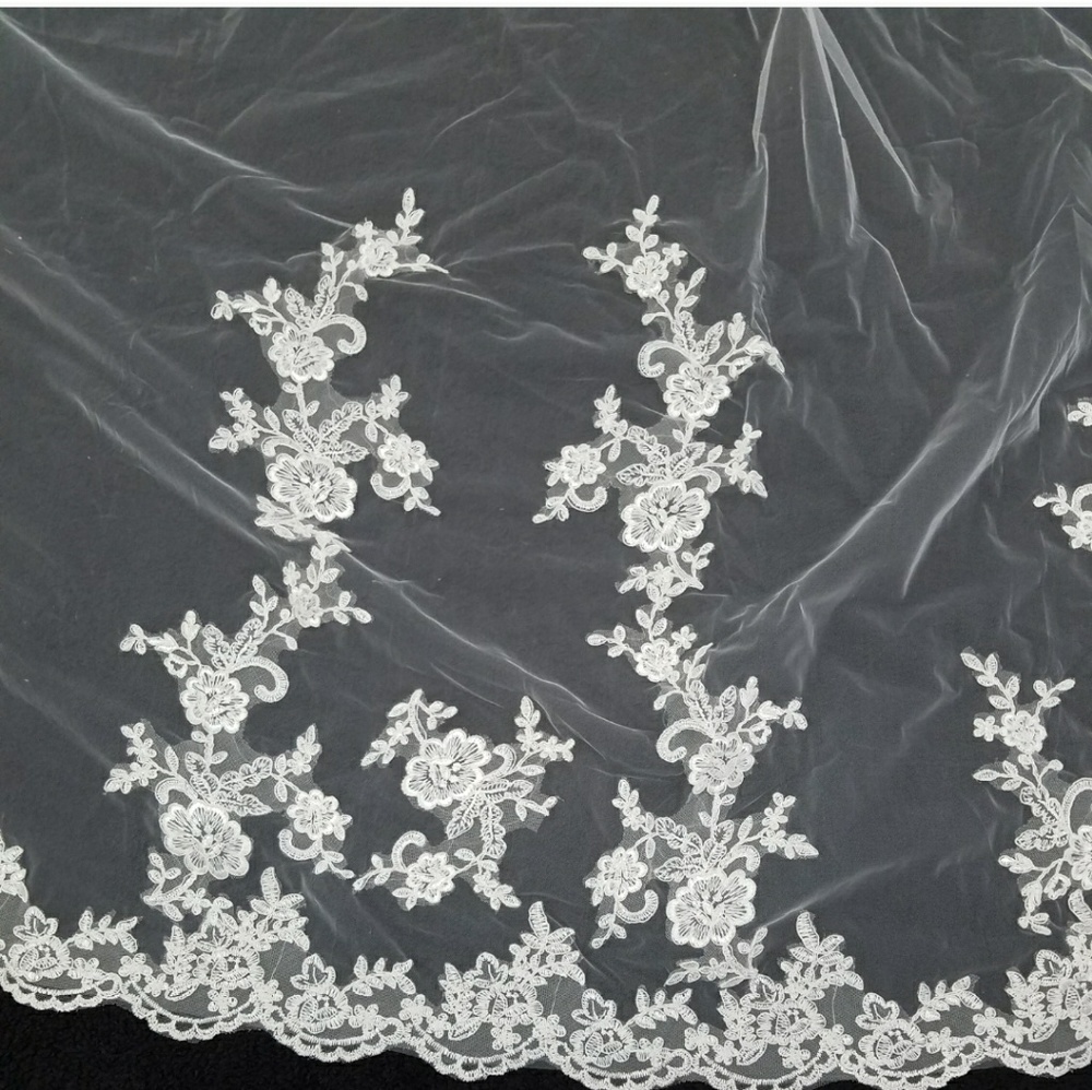 VEILS - Picture 2 of 4
